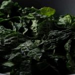 zuppa-di-cavolo-nero-e-cannellini-aggiunta-cavolo