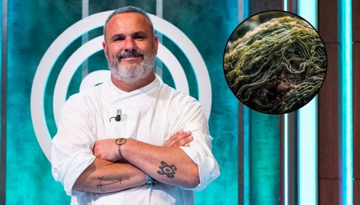 Riso di mare, Angel Leon