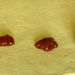 bugie-ripiene-farcitura