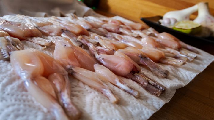 Cosce di rana crude su carta assorbente