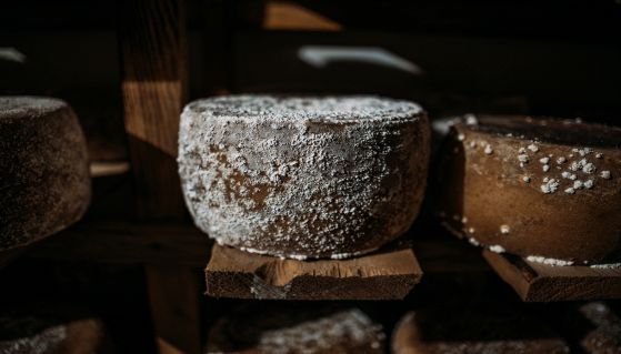 Forme di Milbenkäse, particolare formaggio agli acari tedesco