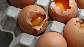 Uova a rischio salmonella