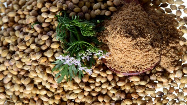 Per alcuni sa davvero di sapone: il perché lo spiega la scienza