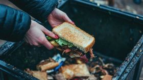 Toast farcito buttato nella spazzatura