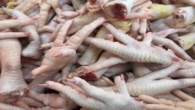 Zampe di gallina crude