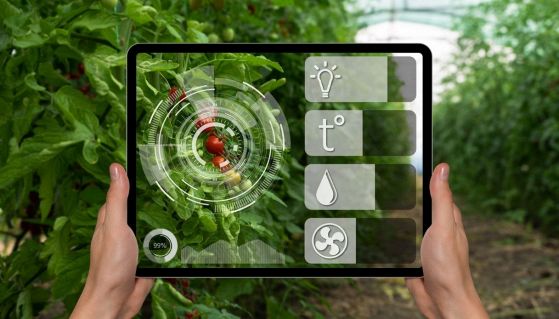 Operatrice controlla con un tablet i parametri delle colture