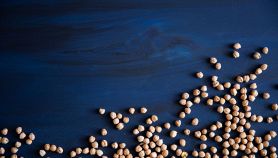 Ceci su una superficie blu cielo