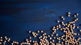 Ceci su una superficie blu cielo