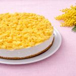 cheesecake-mimosa-presentazione