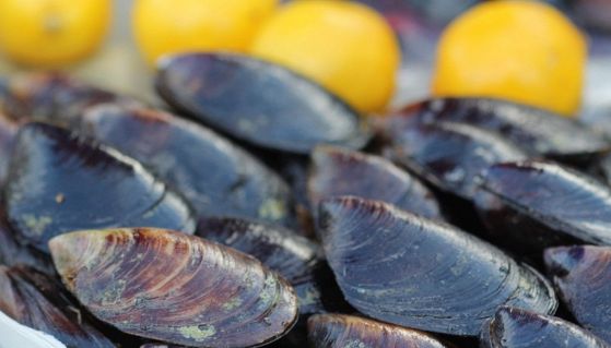 Cozze crude in bancarella ed epatite