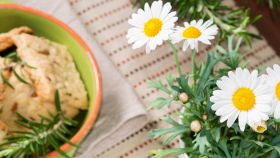 Primavera ingredienti