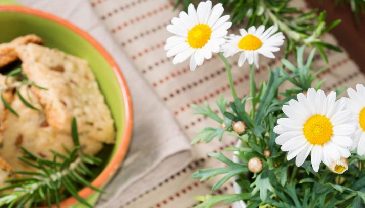 Primavera ingredienti