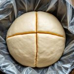 Impasto coperto che cresce in ciotola