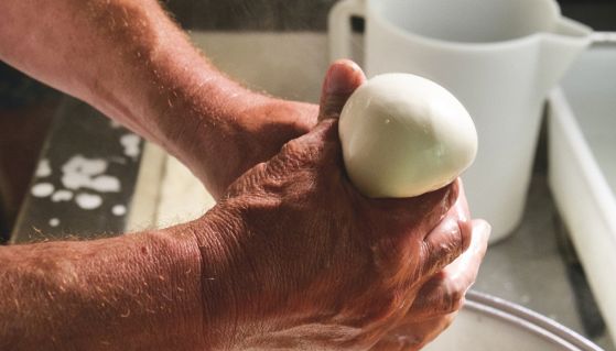 Mastro caseario prepara la mozzarella