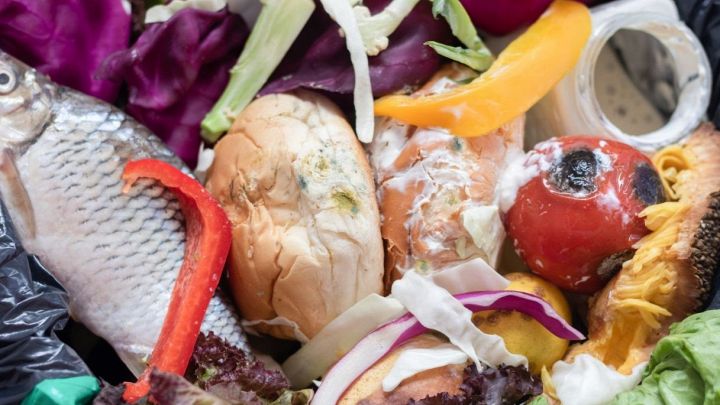 Quelli che chiami "rifiuti" potrebbero essere il cibo del futuro