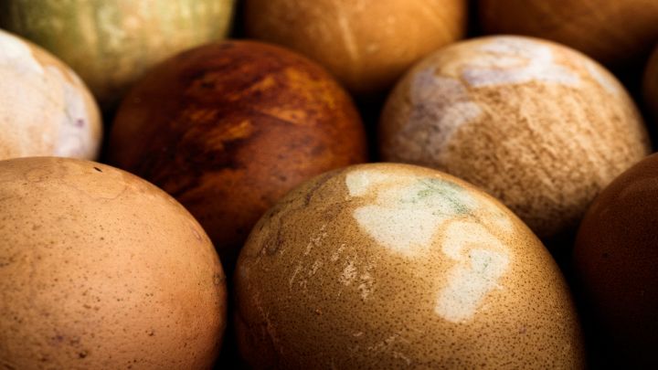 Uova di dinosauro...o no? L'alimento più sorprendente del momento