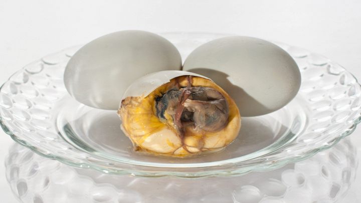 Mangiare un embrione: è tradizione o assoluta crudeltà?