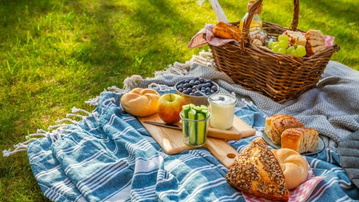 Cibi veloci per scampagnate