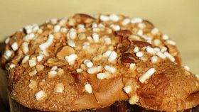 Primo piano della costa di una colomba pasquale