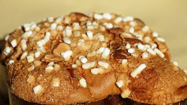 Primo piano della costa di una colomba pasquale