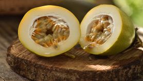 Dettaglio del dolce frutto della passione