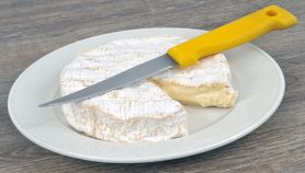 Formaggio morbido adagiato su un piatto col coltello