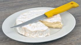 Formaggio morbido adagiato su un piatto col coltello