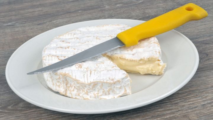 Formaggio morbido adagiato su un piatto col coltello
