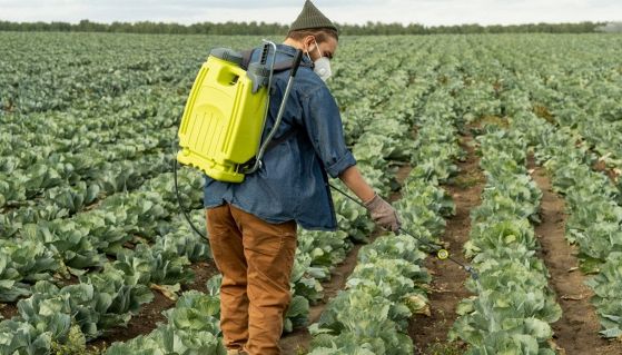 Un lavoratore agricola irrora la coltivazione con pesticidi
