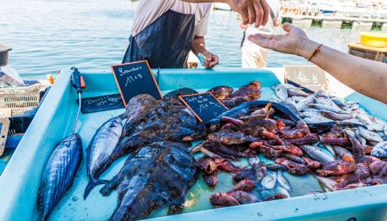 Pesce azzurro sul bancone del pesce al mercato ittico, vicino al mare