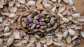 Pistacchio iraniano sgusciato