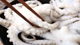 Polpo fresco da mangiare con le bacchette