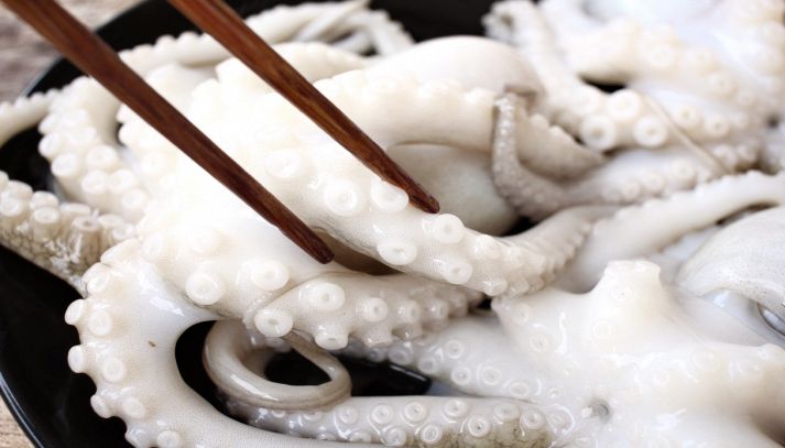 Polpo fresco da mangiare con le bacchette