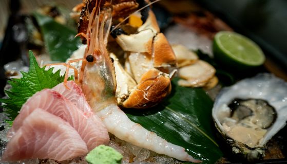 Raccolto crudo delizioso del sashimi dei frutti di mare