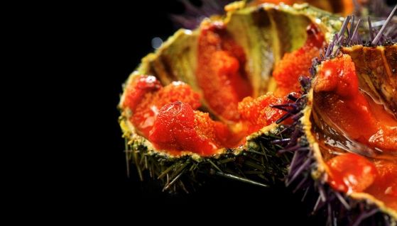 Ricci di mare a polpa rossa pronti da mangiare