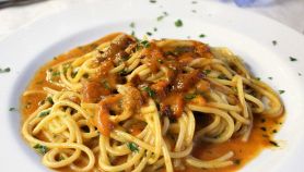Piatto di spaghetti con sugo di polpa di ricci di mare