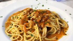 Piatto di spaghetti con sugo di polpa di ricci di mare