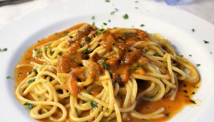 Piatto di spaghetti con sugo di polpa di ricci di mare