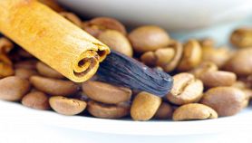 Tazzina con chicchi di caffè, cannella e vaniglia