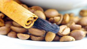 Tazzina con chicchi di caffè, cannella e vaniglia