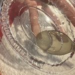 Aggiunta del glucosio