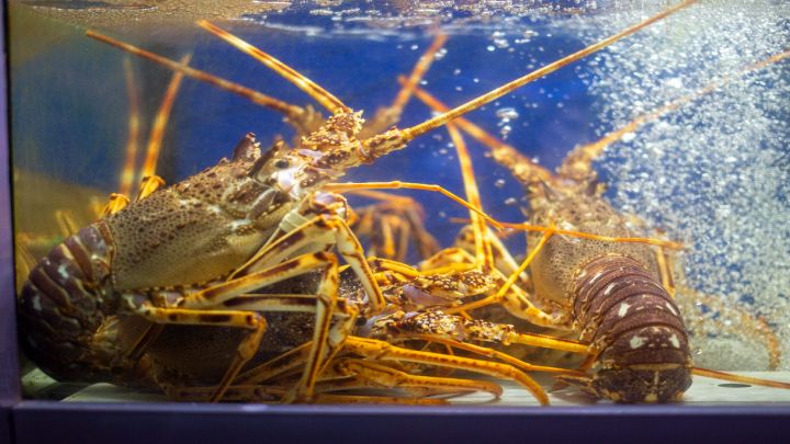 Non è una buona azione: il rischio è più grande di quanto pensi