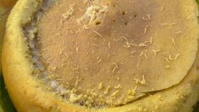 Casu marzu