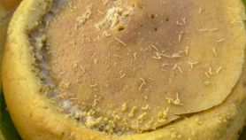 Casu marzu