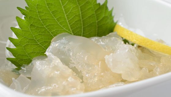 Delizioso sashimi di medusa