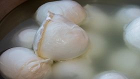 Mozzarelle fresche nel loro liquido di governo