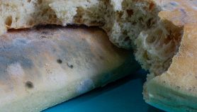 Pane ammuffito