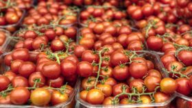 Pomodorini nella vaschetta di plastica in vendita al mercato