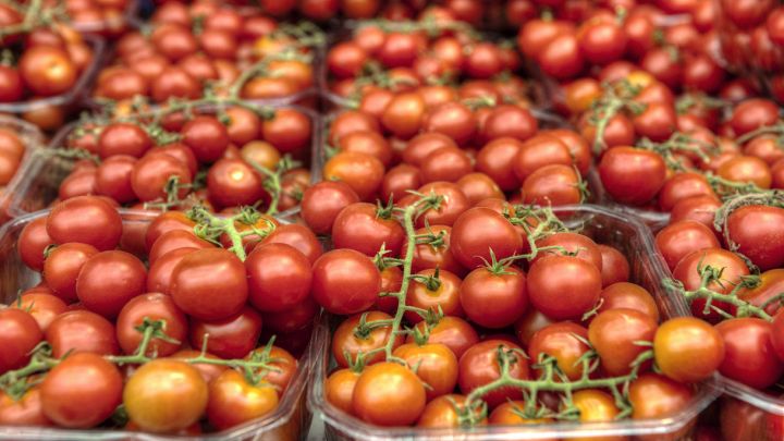 Pomodorini nella vaschetta di plastica in vendita al mercato