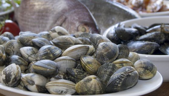 frutti di mare crudi